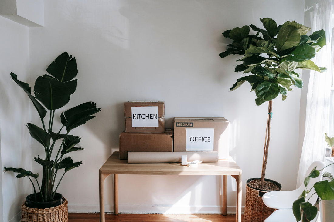 Move-Out Cleaning Checklist for Tenants and Landlords in Toronto