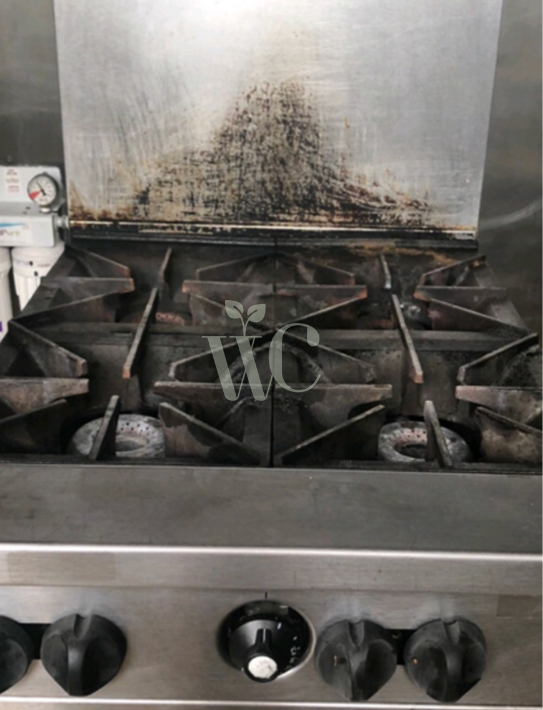Before — W.I.H. Clean Oven Clean in Brampton