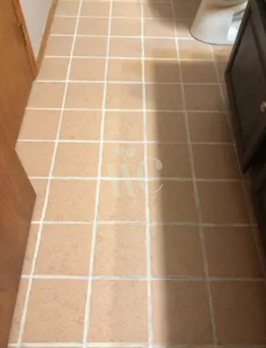 Cleaned bathroom floors