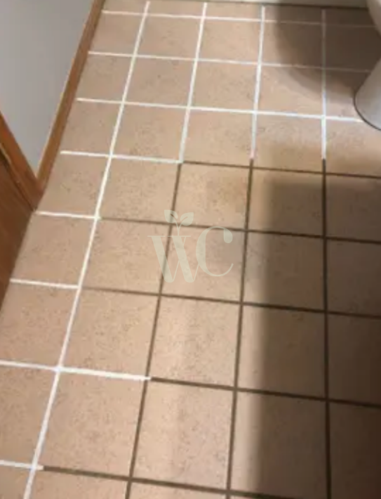 Dirty Grout filled bathroom floors