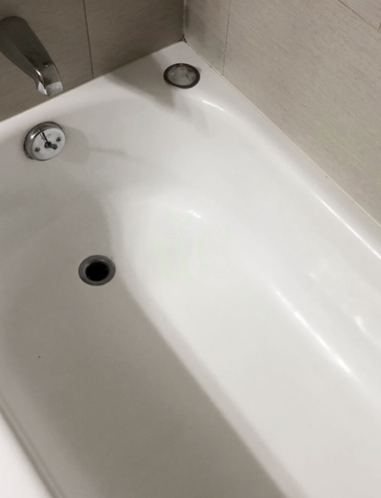 Bathroom Cleaning